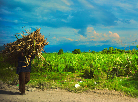 Haïti 2016. Campagne
