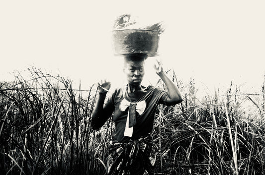 Kasai 2017. Dans ma bassine il y a...